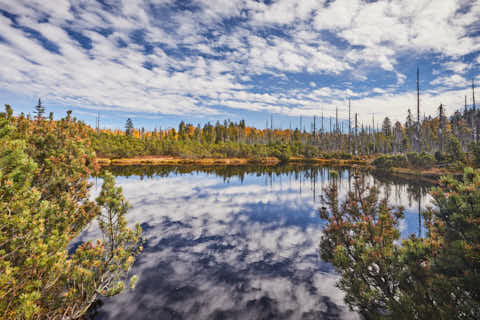 Gemeinde Lindberg Landkreis Regen Latschensee Schachtenwanderung (Dirschl Johann) Deutschland REG